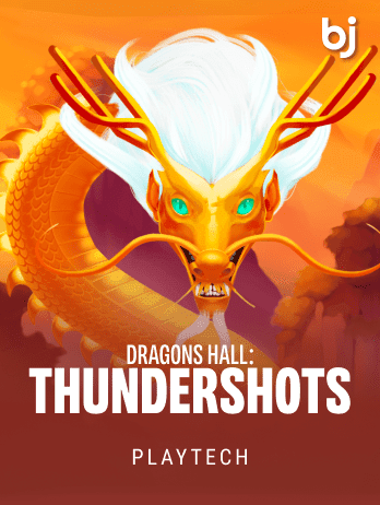 Dragons Hall Thundershot screenshot